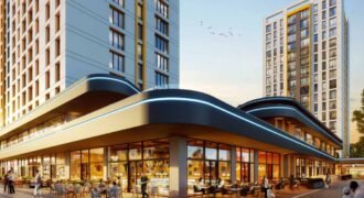 Flat 24 Basinekspress