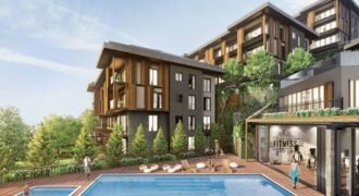 Alyapark Orman Sariyer