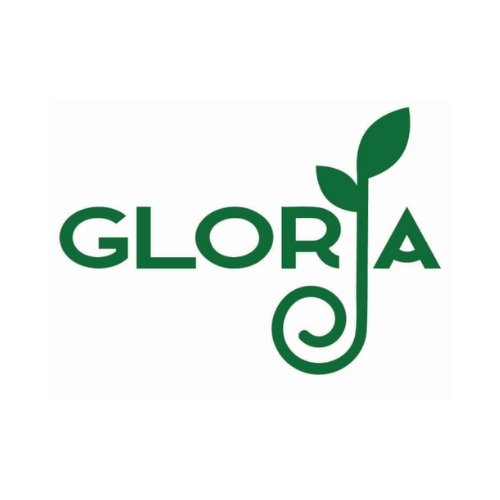 FGM Gloria