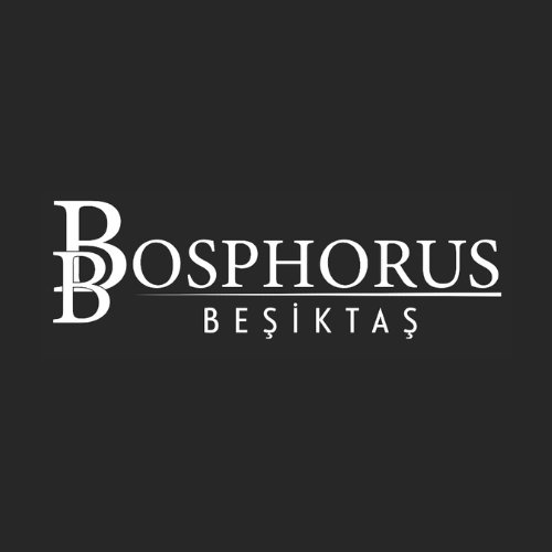 Bosphorus Besiktas Residences